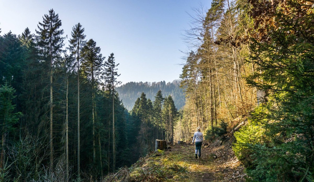 © Nördlicher Schwarzwald © Nördlicher Schwarzwald