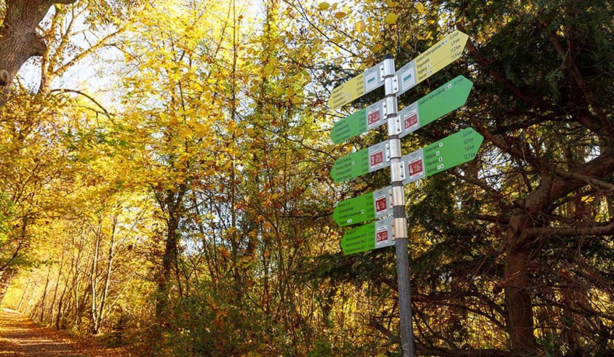 Ein Wegweiser im herbstlichen Wald auf dem Gaildorfer Rundwanderweg, umgeben von gelben Blättern und einem sonnigen Pfad., © Stadt Gaildorf