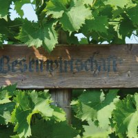 Ein Holzschild mit der Aufschrift 'Besenwirtschaft' ist von grünen Weinblättern umgeben., © SMG