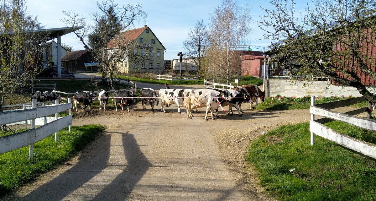 Landidylle am Schlatthof, © Jürgen Schirle Landidylle am Schlatthof, © Jürgen Schirle