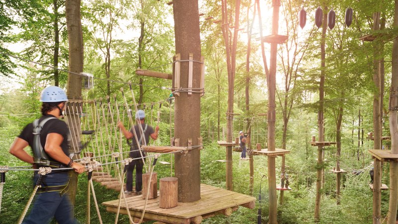 Menschen klettern im Kletterwald Plochingen auf Seilbrücken zwischen hohen Bäumen. Die Sonne scheint durch das Blätterdach., © © SMG, Jean-Claude Winkler Menschen klettern im Kletterwald Plochingen auf Seilbrücken zwischen hohen Bäumen. Die Sonne scheint durch das Blätterdach., © © SMG, Jean-Claude Winkler