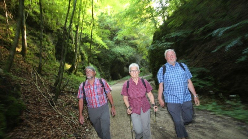 Drei ältere Personen wandern auf einem Waldweg in einer grünen Schlucht. Sie tragen karierte Hemden und Rucksäcke., © Bad Urach Tourismus