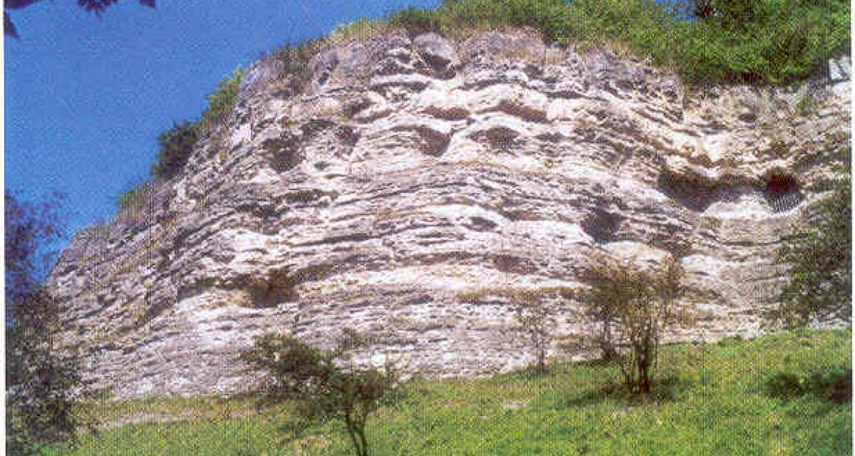 Eine steile Felswand mit markanten Hauerlöchern, umgeben von grüner Vegetation und Bäumen, unter einem klaren blauen Himmel., © Natur.Nah. Schönbuch & Heckengäu Eine steile Felswand mit markanten Hauerlöchern, umgeben von grüner Vegetation und Bäumen, unter einem klaren blauen Himmel., © Natur.Nah. Schönbuch & Heckengäu
