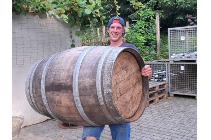 Weinlese: Vom Stock ins Glas - Die Weinlese zum Anfassen!, © WTM GmbH Waiblingen Weinlese: Vom Stock ins Glas - Die Weinlese zum Anfassen!, © WTM GmbH Waiblingen