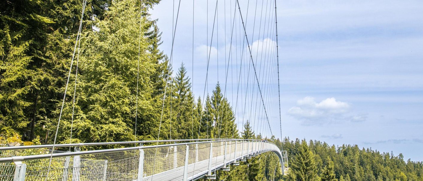 WILDLINE Hängebrücke, © Stuttgart-Marketing GmbH, Sarah Schmid