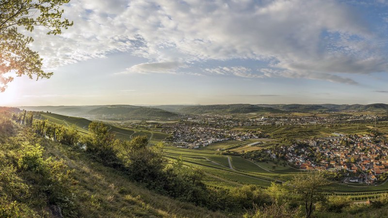 Panoramablick vom Kleinheppacher Kopf über das Remstal mit Weinbergen, Dörfern und Sonnenuntergang im Hintergrund., © Tourismusverein Remstal-Route e.V. Panoramablick vom Kleinheppacher Kopf über das Remstal mit Weinbergen, Dörfern und Sonnenuntergang im Hintergrund., © Tourismusverein Remstal-Route e.V.