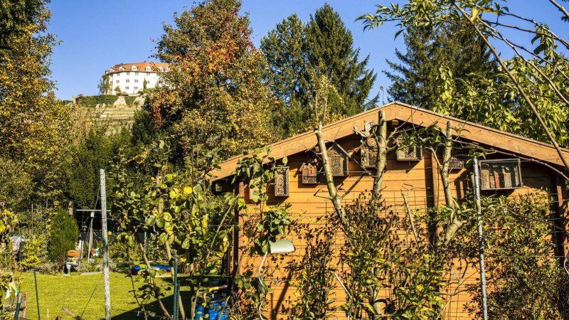 Ein Garten mit einer Holzhütte im Vordergrund, umgeben von Bäumen und Pflanzen. Im Hintergrund ist ein Schloss auf einem Hügel zu sehen., © Stuttgart Marketing GmbH, Sarah Schmid Ein Garten mit einer Holzhütte im Vordergrund, umgeben von Bäumen und Pflanzen. Im Hintergrund ist ein Schloss auf einem Hügel zu sehen., © Stuttgart Marketing GmbH, Sarah Schmid