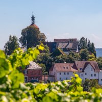 Blick auf Burg Bürg Winnenden, umgeben von Bäumen und Häusern, mit Weinreben im Vordergrund und blauem Himmel im Hintergrund., © SMG, Achim Mende Blick auf Burg Bürg Winnenden, umgeben von Bäumen und Häusern, mit Weinreben im Vordergrund und blauem Himmel im Hintergrund., © SMG, Achim Mende