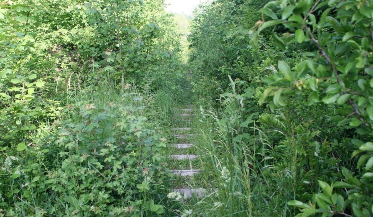 stillgelegte Bahnstrecke - Rundwanderweg 1, © Petra Natzkowski stillgelegte Bahnstrecke - Rundwanderweg 1, © Petra Natzkowski