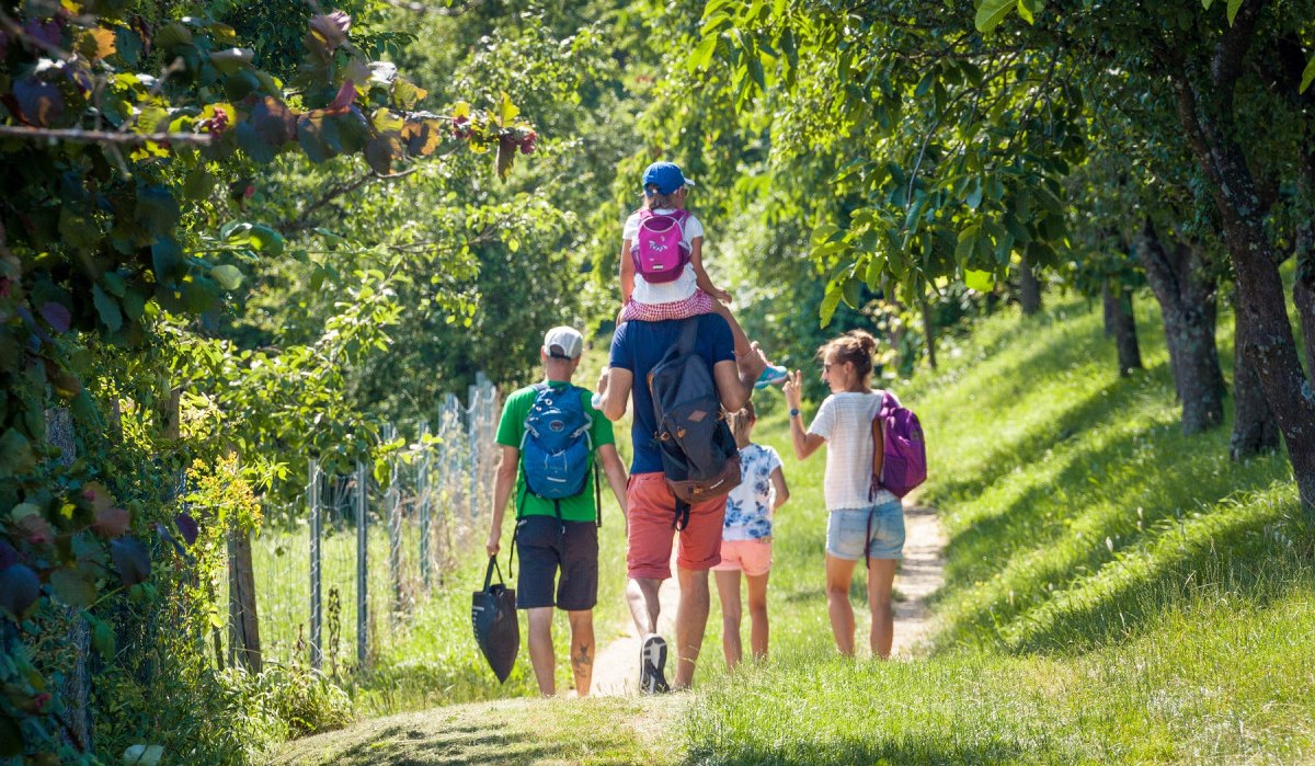 Eine Familie wandert auf einem sonnigen Pfad durch grüne Streuobstwiesen. Ein Kind sitzt auf den Schultern eines Erwachsenen. Alle tragen Rucksäcke., © hochgehberge