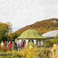 Menschen stehen in einem Kräutergarten vor einem Pavillon. Im Hintergrund ist ein bewaldeter Hügel zu sehen. Der Himmel ist bewölkt., © SMG, Sarah Schmid