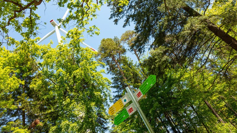 Symbolbild Wanderweg mit Windrad und Hauptwegweiser Symbolbild Wanderweg mit Windrad und Hauptwegweiser