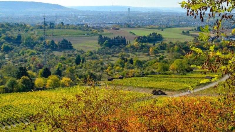 Ausblick vom Sörenberg, © WTM GmbH Waiblingen Ausblick vom Sörenberg, © WTM GmbH Waiblingen