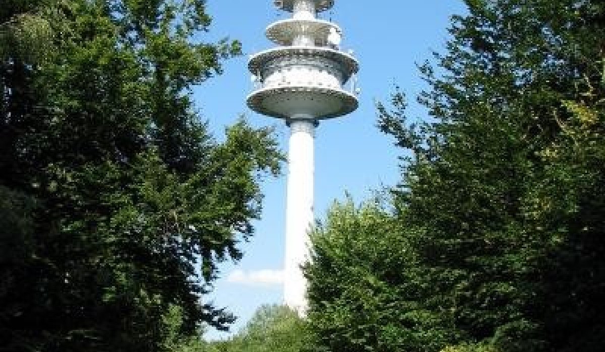 Ein Fernsehturm ragt über einen Waldweg, umgeben von Bäumen, in den blauen Himmel., © Natur.Nah. Schönbuch & Heckengäu Ein Fernsehturm ragt über einen Waldweg, umgeben von Bäumen, in den blauen Himmel., © Natur.Nah. Schönbuch & Heckengäu