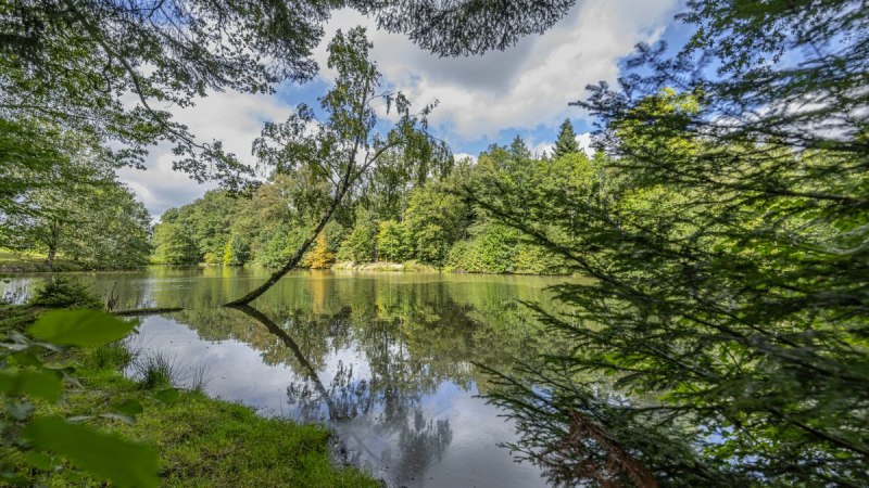 FeenSpuren | R&ouml;merwald Premiumspazierwanderweg - Premiumwanderweg mit Start in Welzheim, &copy; SWT