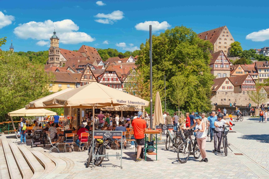 Haller_Fruehling, &copy; Michael K&uuml;hneisen