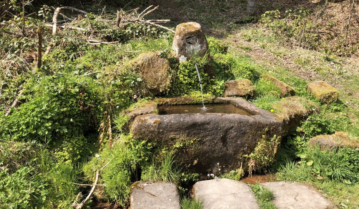 Steinerner Brunnen im Wald mit fließendem Wasser, umgeben von grüner Vegetation und Moos., © Nördlicher Schwarzwald Steinerner Brunnen im Wald mit fließendem Wasser, umgeben von grüner Vegetation und Moos., © Nördlicher Schwarzwald