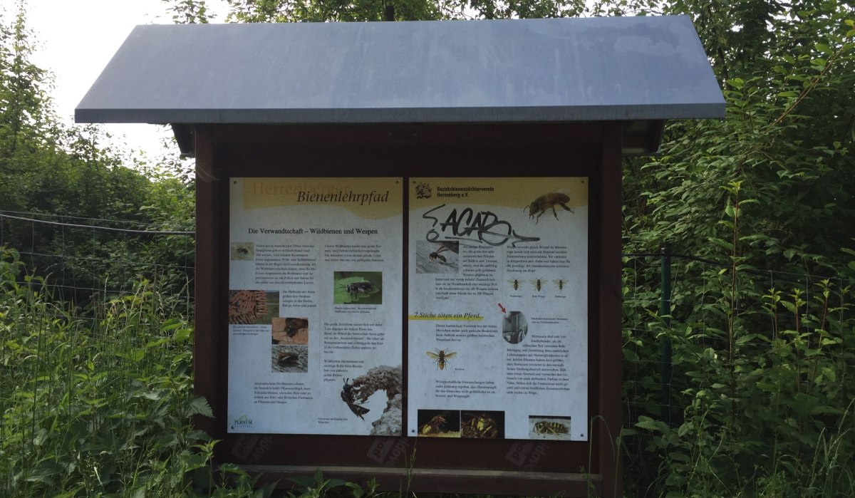 Eine Informationstafel am Bienenlehrpfad erkl&auml;rt die Verwandtschaft von Wildbienen und Wespen. Die Tafel ist von Pflanzen umgeben., &copy; www.pro-cycl.de