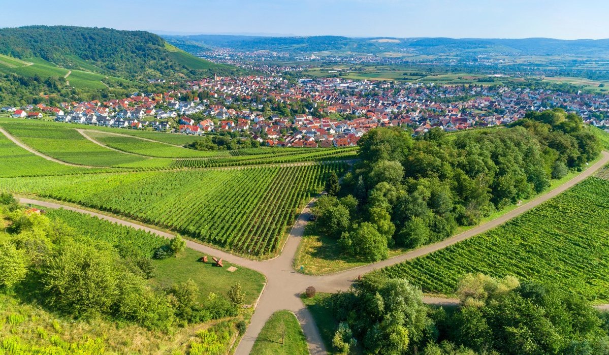 Ausblick Korber Kopf auf Skulpturenpfad, &copy; Gemeinde Korb