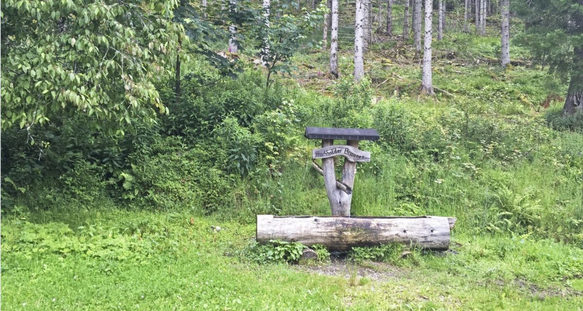 Holzbrunnen mit Schild 'Hochkalter Brunnen' in einem grünen Waldgebiet, umgeben von Bäumen und Pflanzen., © www.pro-cycl.de Holzbrunnen mit Schild 'Hochkalter Brunnen' in einem grünen Waldgebiet, umgeben von Bäumen und Pflanzen., © www.pro-cycl.de
