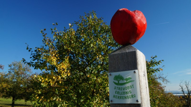 Holzpfosten mit rotem Apfel und Schild 'Streuobst Erlebnis Herrenberg' vor blauem Himmel und Bäumen., © Natur.Nah. Schönbuch & Heckengäu