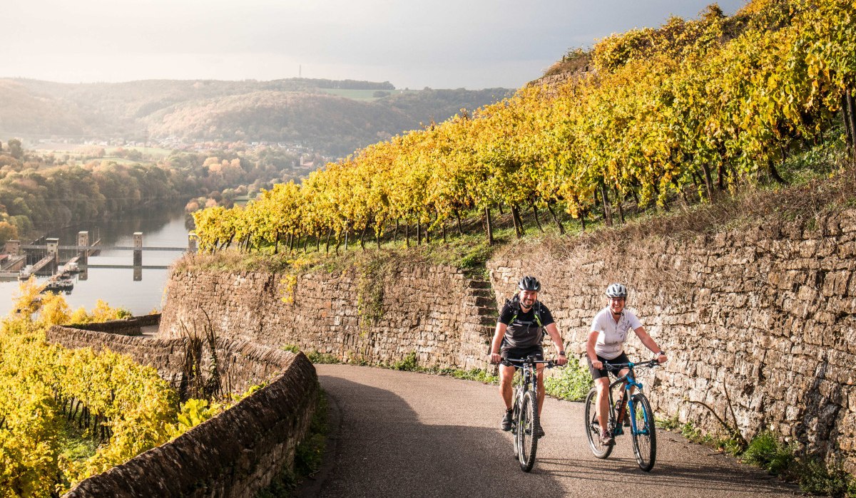 Zwei Radfahrer auf einem Weg durch herbstliche Weinberge, im Hintergrund ein Fluss und bewaldete Hügel., © Geschäftsstelle Neckartal-Radweg_Adrian Weng Zwei Radfahrer auf einem Weg durch herbstliche Weinberge, im Hintergrund ein Fluss und bewaldete Hügel., © Geschäftsstelle Neckartal-Radweg_Adrian Weng