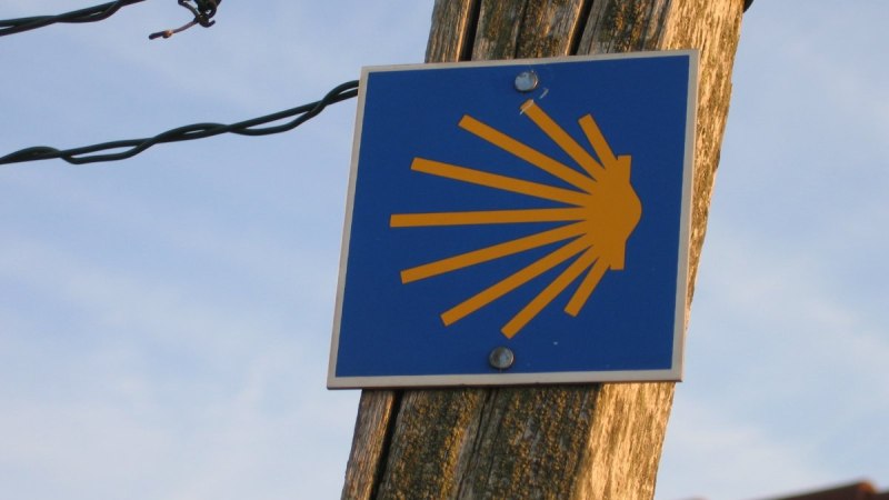 Ein blaues Schild mit gelber Jakobsmuschel als Wegzeichen des Jakobswegs, befestigt an einem Holzpfosten unter freiem Himmel., &copy; SWT