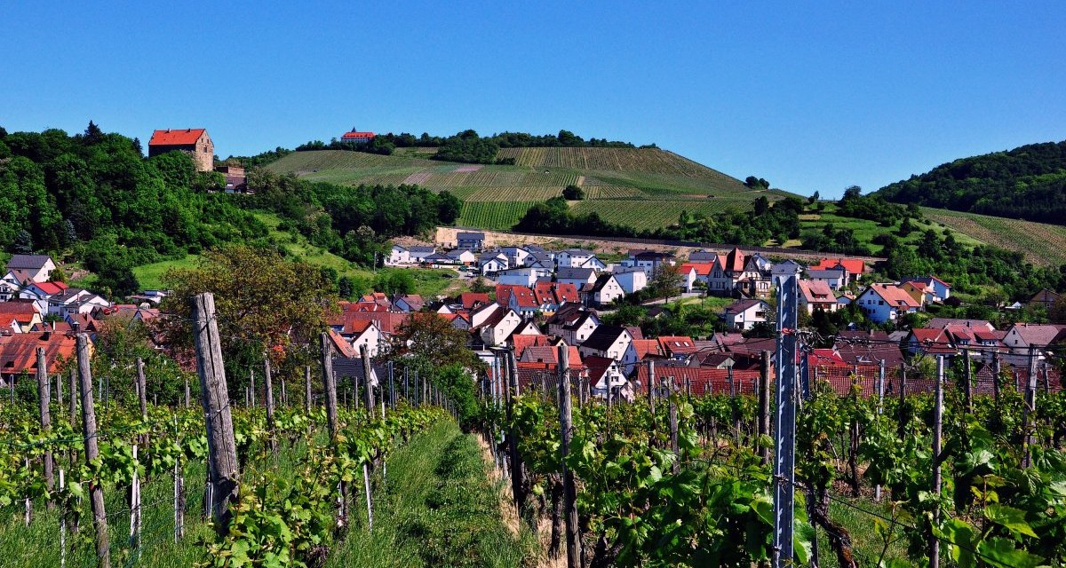 Panoramasicht auf die Gemeine Cleebronn, © Gemeinde Cleebronn Panoramasicht auf die Gemeine Cleebronn, © Gemeinde Cleebronn
