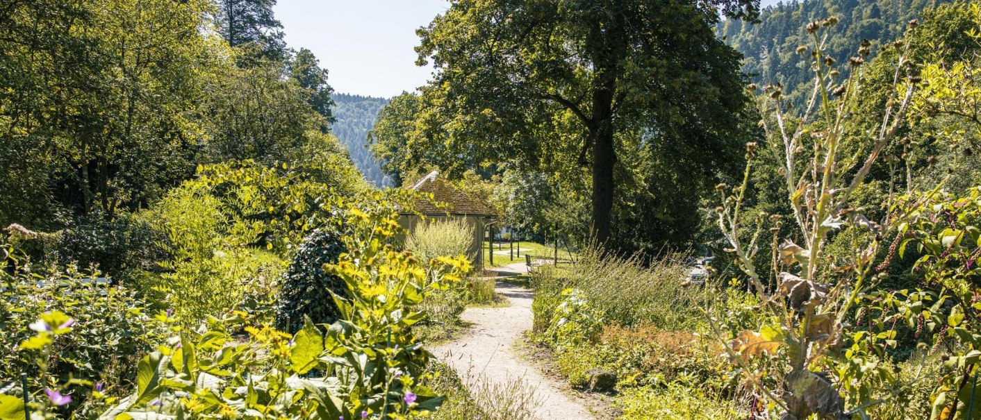 Ein üppiger Garten mit Bäumen und Pflanzen, ein Pfad führt zu einem Pavillon. Im Hintergrund sind bewaldete Hügel zu sehen., © Stuttgart-Marketing GmbH, Sarah Schmid Ein üppiger Garten mit Bäumen und Pflanzen, ein Pfad führt zu einem Pavillon. Im Hintergrund sind bewaldete Hügel zu sehen., © Stuttgart-Marketing GmbH, Sarah Schmid