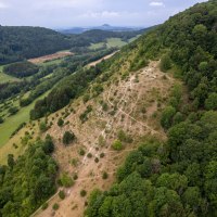 Luftaufnahme eines bewaldeten Hügels mit Wanderwegen. Im Vordergrund grüne Felder, im Hintergrund weitere Hügel und Wälder., © Foto Thomas Zehnder Luftaufnahme eines bewaldeten Hügels mit Wanderwegen. Im Vordergrund grüne Felder, im Hintergrund weitere Hügel und Wälder., © Foto Thomas Zehnder