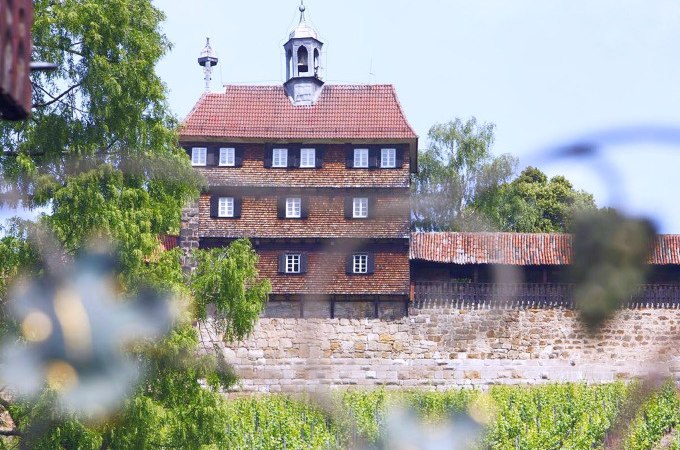 Ein historisches Gebäude in Esslingen, umgeben von grünen Weinreben und Bäumen, unter einem klaren blauen Himmel., © Esslinger Stadtmarketing & Tourismus GmbH Ein historisches Gebäude in Esslingen, umgeben von grünen Weinreben und Bäumen, unter einem klaren blauen Himmel., © Esslinger Stadtmarketing & Tourismus GmbH