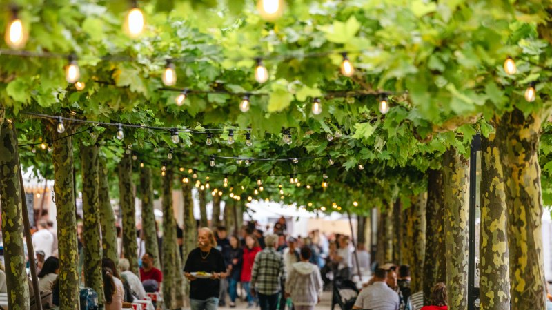 IMG_4997, &copy; Stadtmarketing B&ouml;blingen