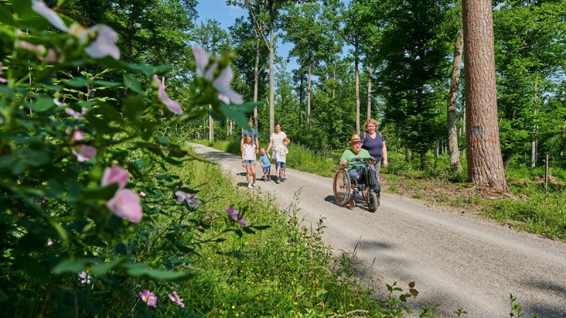 Eine Familie spaziert auf einem Waldweg. Ein Mann im Rollstuhl wird von einer Frau begleitet. Blumen und Bäume umgeben den Weg., © Natur.Nah. Schönbuch & Heckengäu