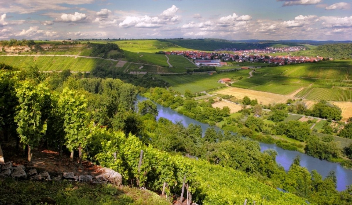 Weinberge erstrecken sich über Hügel, ein Fluss schlängelt sich durch die Landschaft, und ein Dorf liegt im Hintergrund unter einem bewölkten Himmel., © Aktiv-Region Stuttgart Weinberge erstrecken sich über Hügel, ein Fluss schlängelt sich durch die Landschaft, und ein Dorf liegt im Hintergrund unter einem bewölkten Himmel., © Aktiv-Region Stuttgart