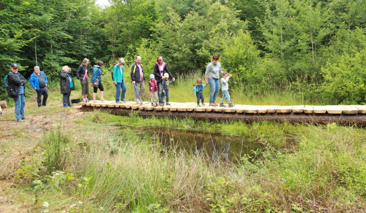 Eine Gruppe von Menschen, darunter Kinder, überquert einen schmalen Holzsteg in einem grünen Waldgebiet., © Amt für Forsten Landkreis Böblingen Eine Gruppe von Menschen, darunter Kinder, überquert einen schmalen Holzsteg in einem grünen Waldgebiet., © Amt für Forsten Landkreis Böblingen