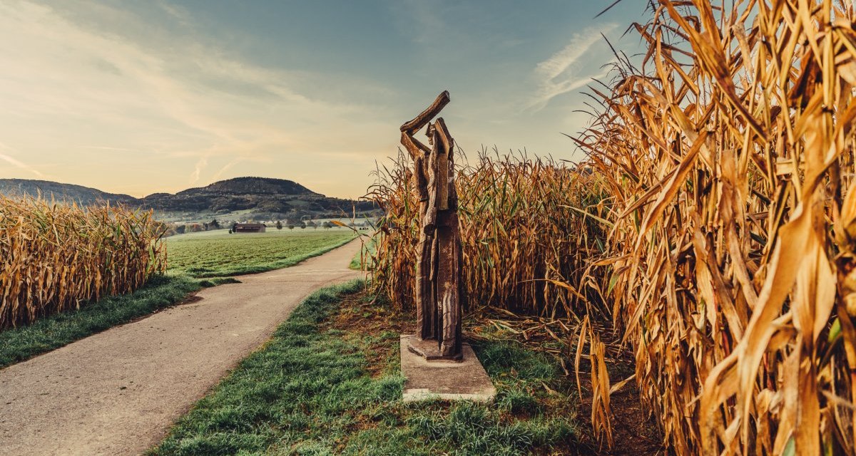 Ein Weg führt durch ein Maisfeld, daneben steht eine abstrakte Holzskulptur. Im Hintergrund sind Hügel und ein klarer Himmel zu sehen., © Landratsamt Ostalbkreis Ein Weg führt durch ein Maisfeld, daneben steht eine abstrakte Holzskulptur. Im Hintergrund sind Hügel und ein klarer Himmel zu sehen., © Landratsamt Ostalbkreis