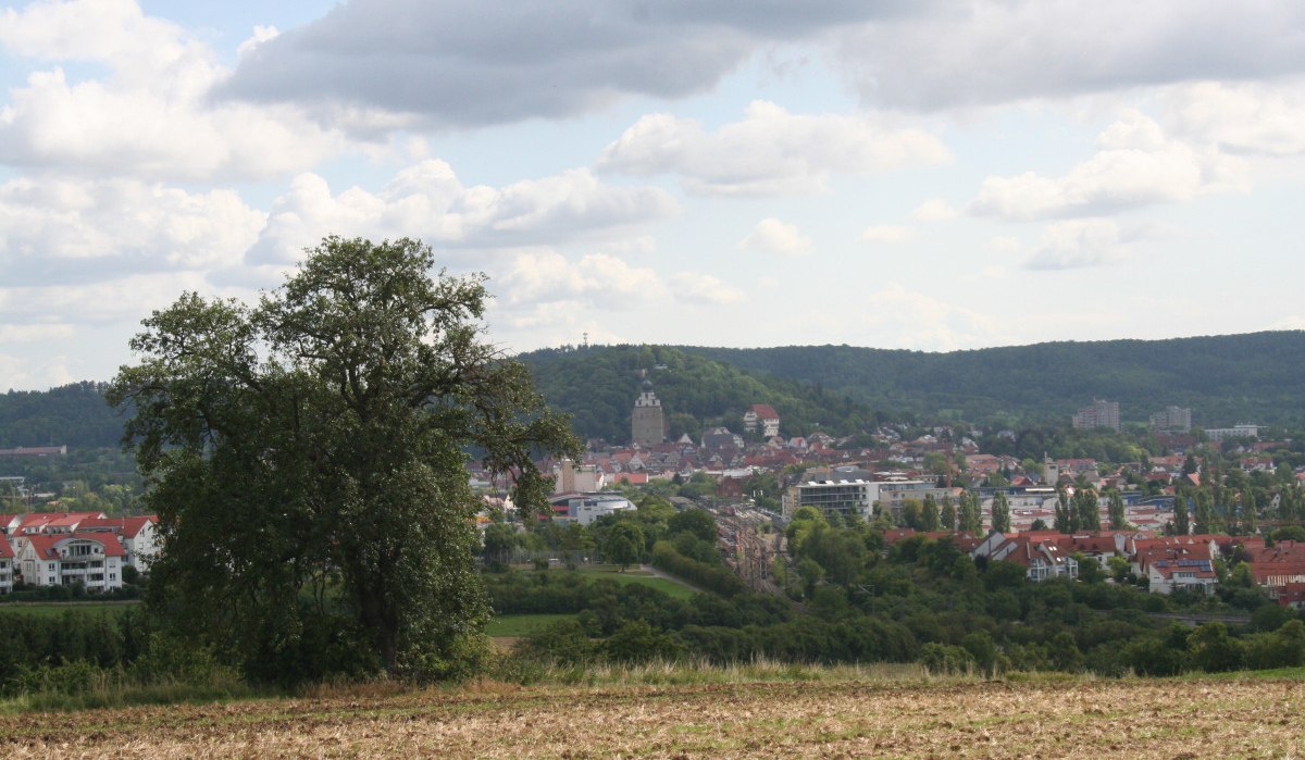 Ein Baum steht auf einem Feld im Vordergrund, dahinter eine Stadt mit roten Dächern und Hügeln im Hintergrund unter bewölktem Himmel., © Natur.Nah. Schönbuch & Heckengäu Ein Baum steht auf einem Feld im Vordergrund, dahinter eine Stadt mit roten Dächern und Hügeln im Hintergrund unter bewölktem Himmel., © Natur.Nah. Schönbuch & Heckengäu