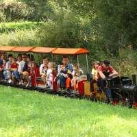 Eine Miniatur-Dampfbahn mit vielen Passagieren fährt durch eine grüne, bewaldete Landschaft im Sommer., © Sindelfingen - Stuttgart-Marketing GmbH