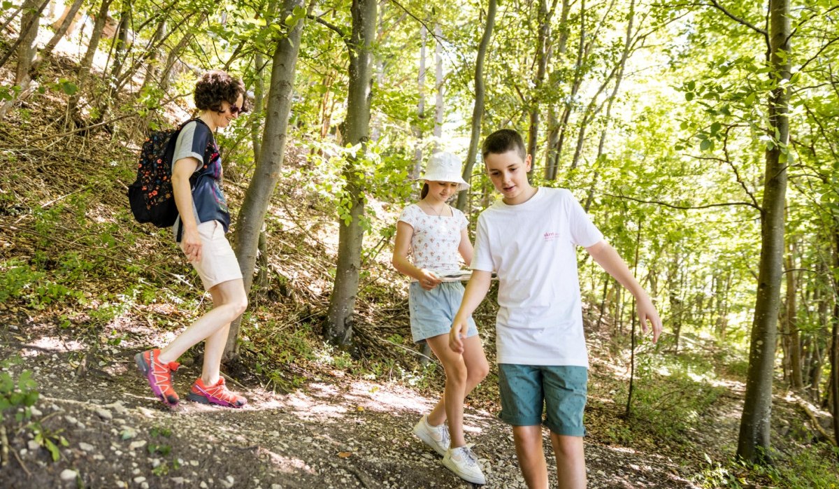 Drei Personen wandern auf einem schmalen Pfad im Wald. Die Sonne scheint durch die Bäume, und sie tragen Freizeitkleidung., © TMBW Drei Personen wandern auf einem schmalen Pfad im Wald. Die Sonne scheint durch die Bäume, und sie tragen Freizeitkleidung., © TMBW