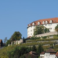 Schloss Kalteneck thront auf einem Hügel mit Weinbergen, umgeben von Bäumen und einem klaren blauen Himmel. Im Vordergrund sind Häuser zu sehen., © Stuttgart-Marketing GmbH