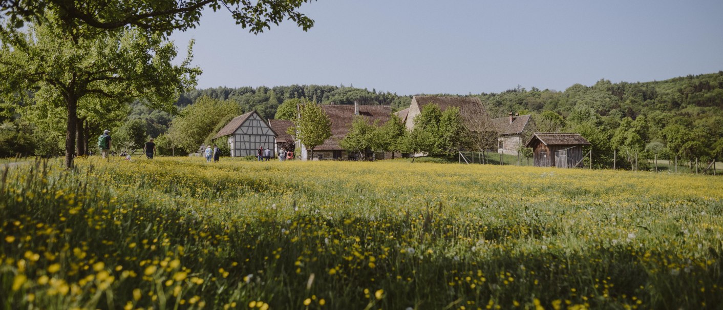 Fachwerkhäuser im Hohenloher Freilandmuseum Wackershofen, umgeben von blühenden Wiesen und Bäumen unter klarem Himmel., © Nico Kurth Fachwerkhäuser im Hohenloher Freilandmuseum Wackershofen, umgeben von blühenden Wiesen und Bäumen unter klarem Himmel., © Nico Kurth