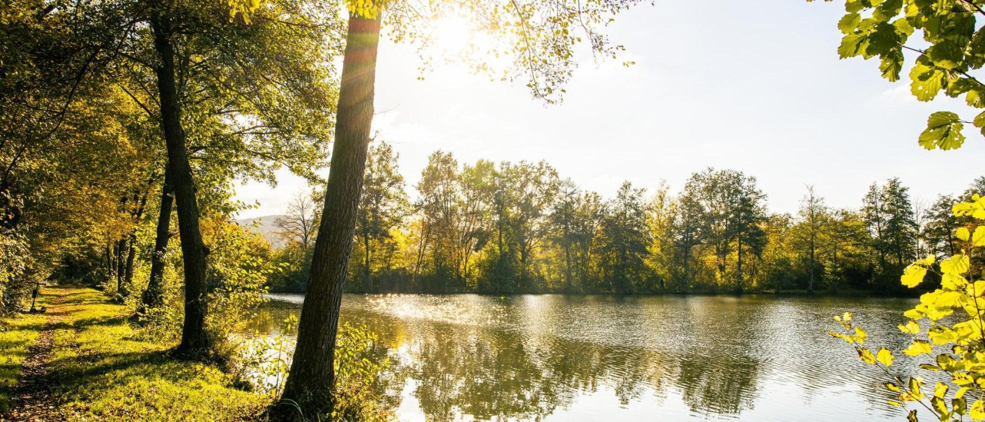Sonniger Tag am Seewaldsee in Vaihingen an der Enz. Die Sonne scheint durch die B&auml;ume und spiegelt sich im ruhigen Wasser des Sees., &copy; Stuttgart-Marketing GmbH, Sarah Schmid