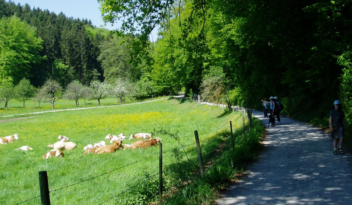 Ein ländlicher Weg mit Spaziergängern, daneben eine grüne Wiese mit Kühen und Bäumen im Hintergrund unter blauem Himmel., © Natur.Nah. Schönbuch & Heckengäu Ein ländlicher Weg mit Spaziergängern, daneben eine grüne Wiese mit Kühen und Bäumen im Hintergrund unter blauem Himmel., © Natur.Nah. Schönbuch & Heckengäu