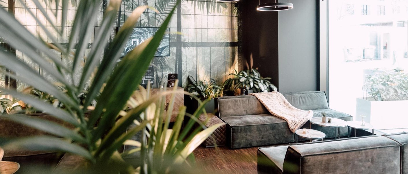 Ein gemütlicher Loungebereich mit grünen Sofas, Pflanzen und einem großen Fenster. Ein gestricktes Plaid liegt auf einem Sofa., © Malo Stuttgart - Lea Prestle Ein gemütlicher Loungebereich mit grünen Sofas, Pflanzen und einem großen Fenster. Ein gestricktes Plaid liegt auf einem Sofa., © Malo Stuttgart - Lea Prestle