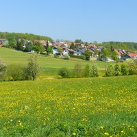Blühende Wiese mit gelben Blumen, Bäume und ein Dorf im Hintergrund unter klarem, blauem Himmel., © Natur.Nah. Schönbuch & Heckengäu