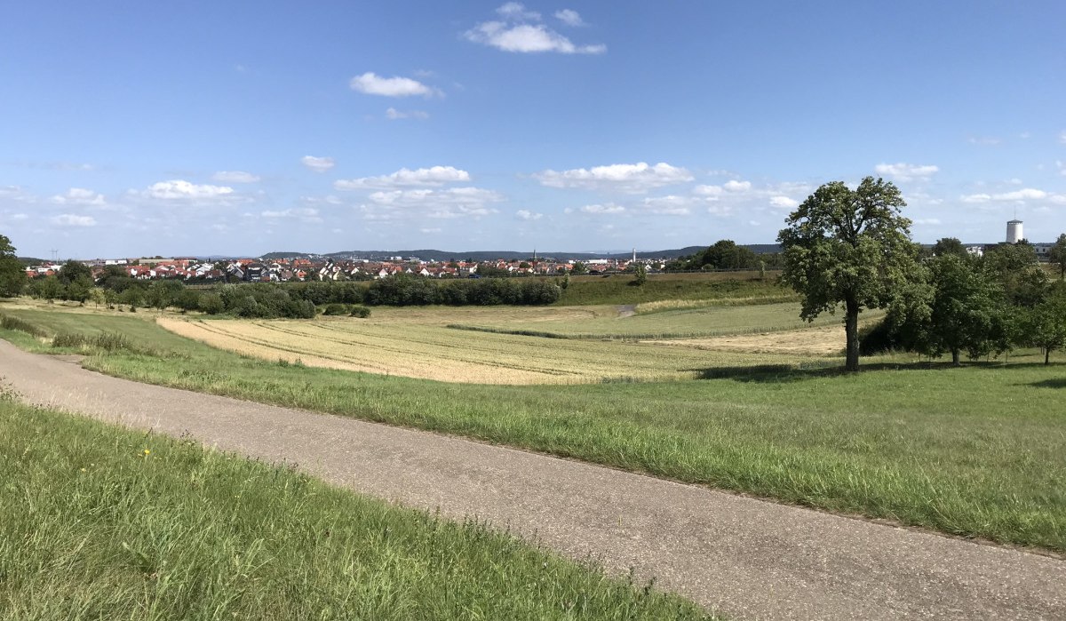 Grüne Wiesen mit einem einzelnen Baum und einem Dorf im Hintergrund unter einem klaren blauen Himmel., © Natur.Nah. Schönbuch & Heckengäu Grüne Wiesen mit einem einzelnen Baum und einem Dorf im Hintergrund unter einem klaren blauen Himmel., © Natur.Nah. Schönbuch & Heckengäu