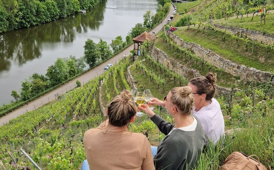 Drei Personen genie&szlig;en Wein auf einem H&uuml;gel mit Weinreben, w&auml;hrend sie auf einen Fluss blicken. Die Szenerie ist idyllisch und gr&uuml;n., &copy; SoLawi Weinfrequenz