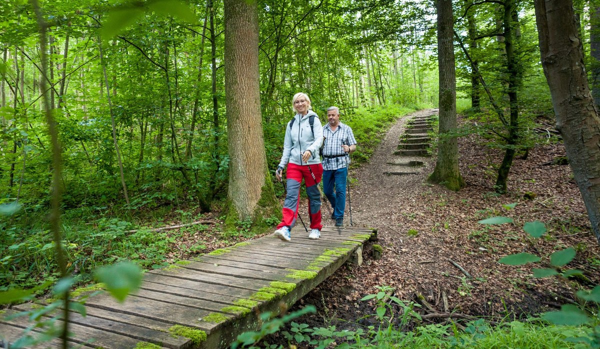 Zwei Personen wandern auf einem Waldweg. Sie überqueren eine kleine Holzbrücke, umgeben von dichtem Grün und Bäumen., © hochgehberge Zwei Personen wandern auf einem Waldweg. Sie überqueren eine kleine Holzbrücke, umgeben von dichtem Grün und Bäumen., © hochgehberge