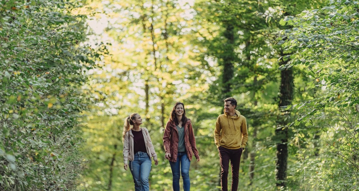 Wanderer im Wald, © Touristikgemeinschaft HeilbronnerLand e.V. Wanderer im Wald, © Touristikgemeinschaft HeilbronnerLand e.V.