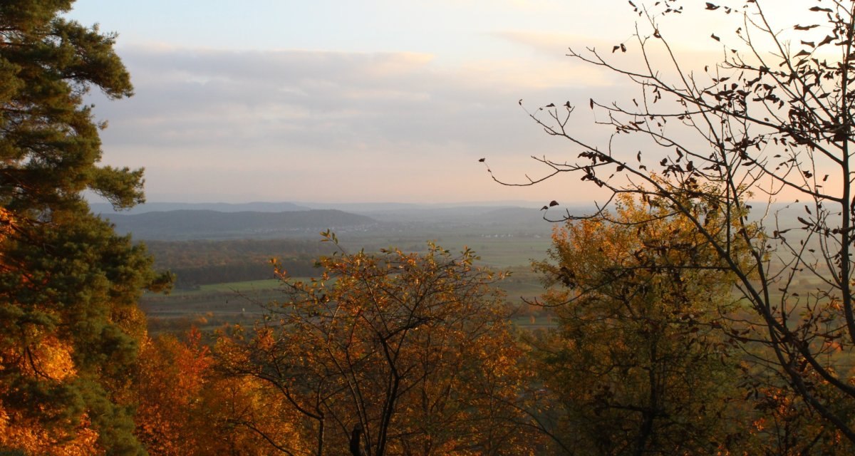 Impressionen LandTour Sch&ouml;nbuchTrauf, &copy; Natur.Nah. Sch&ouml;nbuch & Heckeng&auml;u